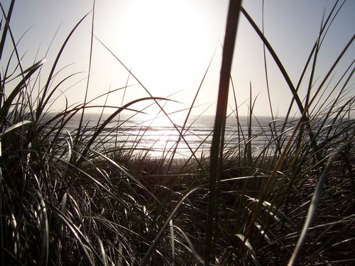 Ocean Beach (palo-alto_100_8636.jpg) wird geladen. Eindrucksvolle Fotos von der Westküste Amerikas erwarten Sie.